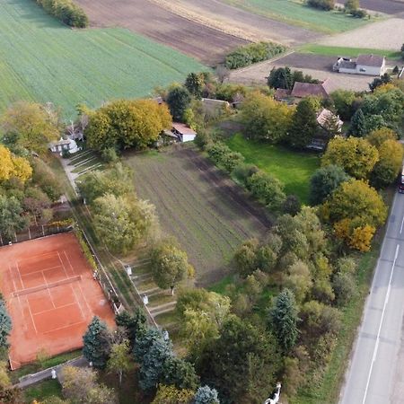 B&B Villa Pipacs Feketić Εξωτερικό φωτογραφία