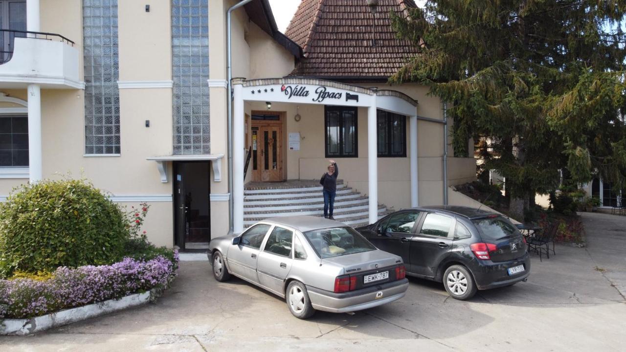B&B Villa Pipacs Feketić Εξωτερικό φωτογραφία