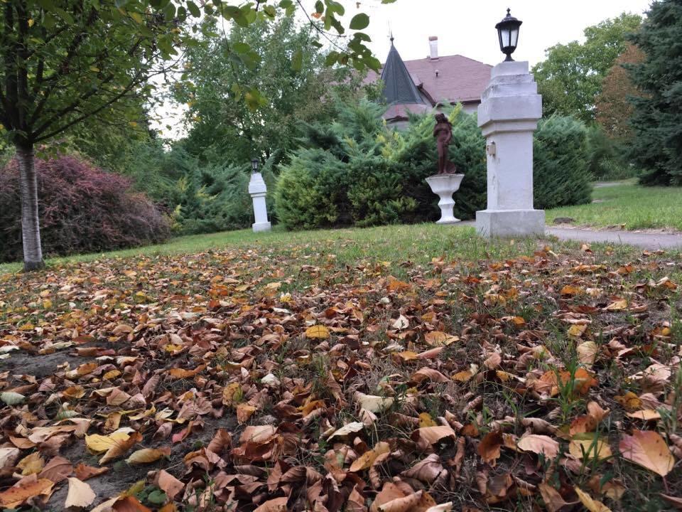 B&B Villa Pipacs Feketić Εξωτερικό φωτογραφία