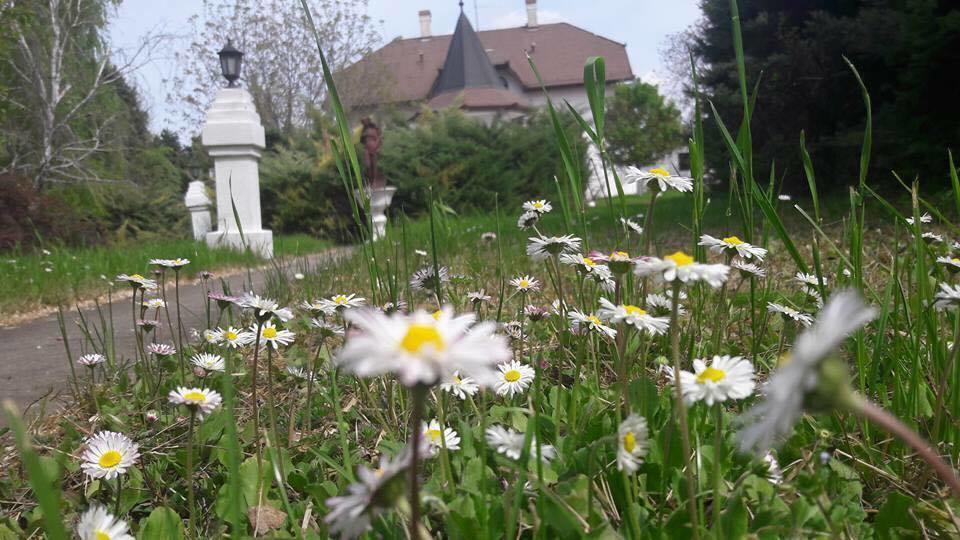 B&B Villa Pipacs Feketić Εξωτερικό φωτογραφία